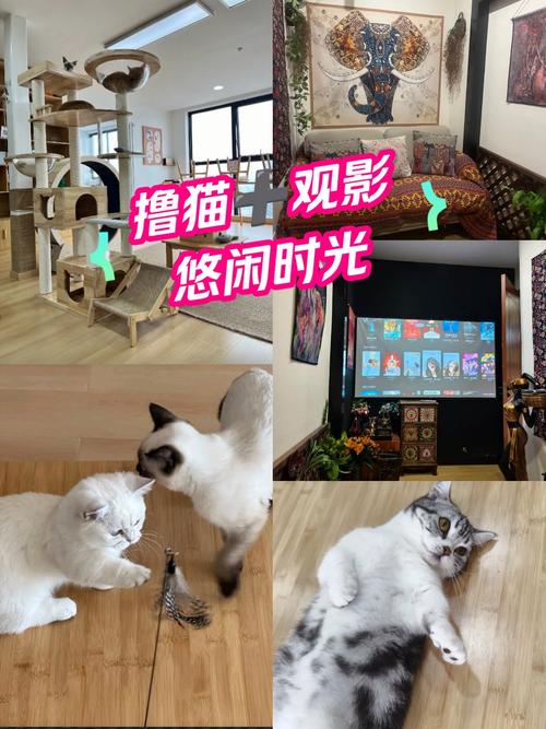 电影院接吻的相关介绍