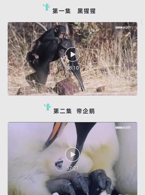 集优影院 - 最新高清影视在线观看，免费追剧神器，畅享无广告观影体验