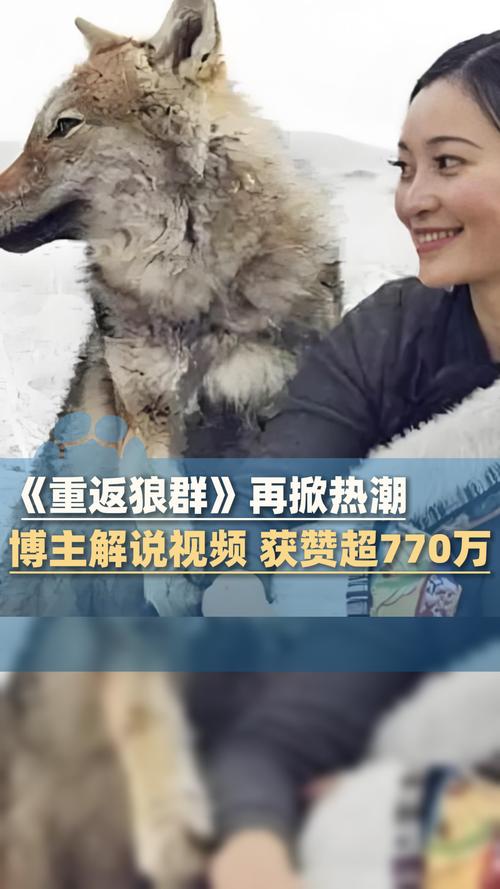 亚洲天堂男人的的相关介绍