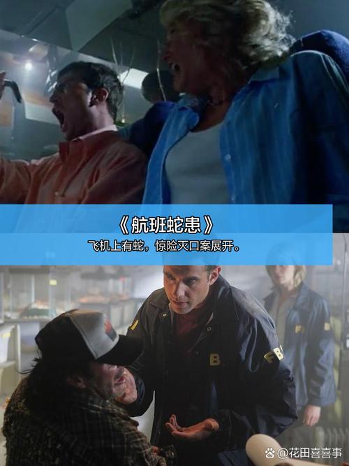桔子影院juzi222的相关介绍