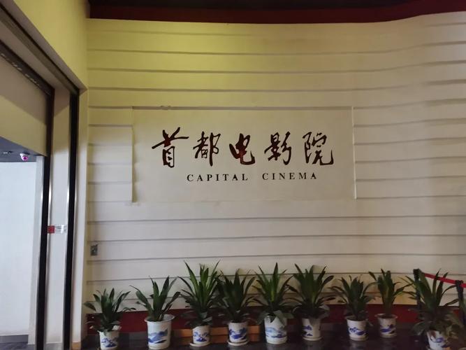 我不卡手机影院 - 免费高清在线看剧神器，手机流畅追剧不卡顿，最新热门影视资源全收录