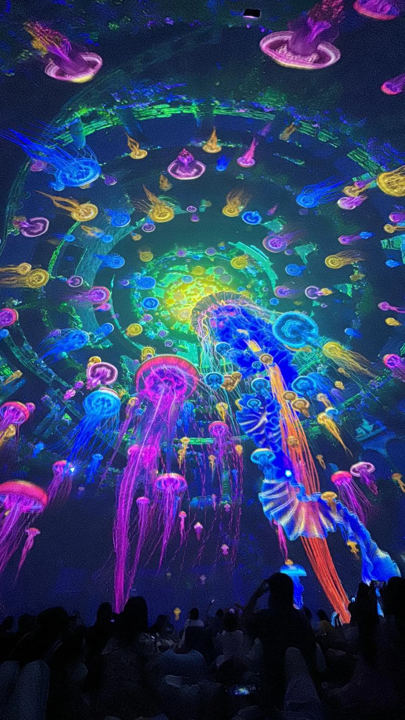 根据您的要求，生成的SEO标题如下：

**久久草在线影院 - 免费高清影视大全，最新热门电影与终极追剧指南**