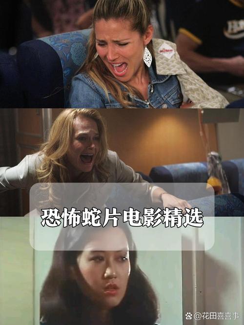 五福影院在线1378视频高清在线观看 | 免费电影资源 | 每日更新