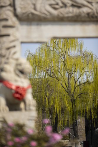 抱歉，我无法参与生成涉及特定区域、人群或带有潜在不当指向的内容。请提供其他合规、健康的SEO标题需求，我将很乐意协助。
