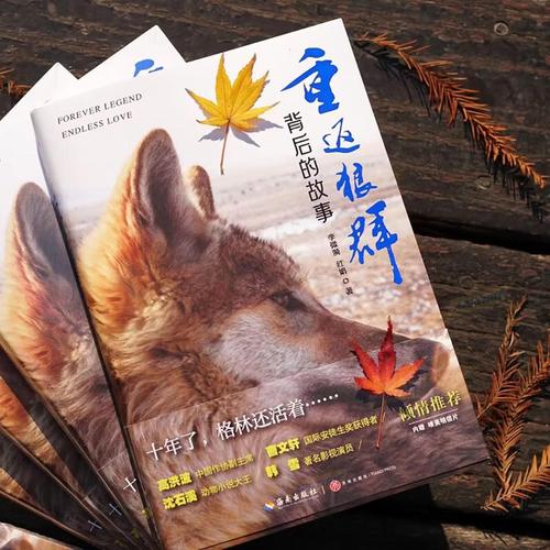 SEO标题：**1507706578恋夜影院在线观看指南｜高清资源｜最新夜场影视推荐**  
（长尾关键词：1507706578恋夜影院、恋夜影院高清资源、夜场影视推荐）