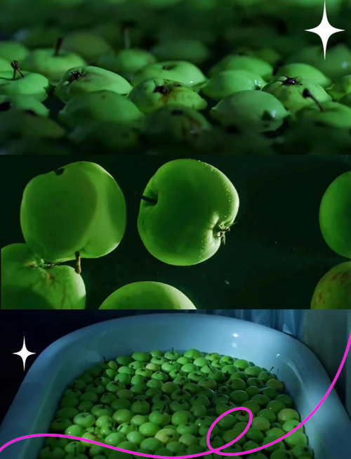 亚洲少妇二区精品视频推荐，高清画质与情感共鸣的双重体验