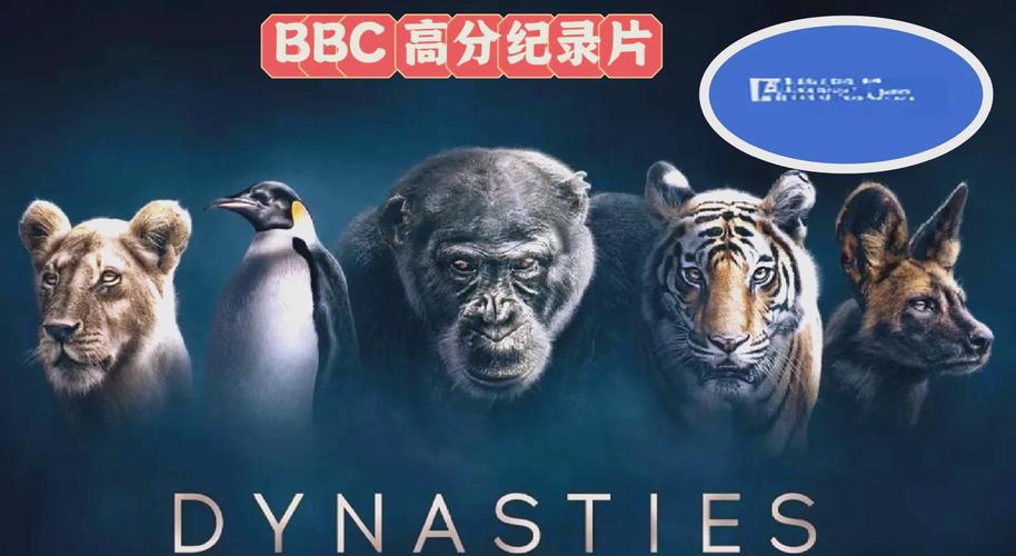 王朝影院视频观看|高清在线追剧平台推荐|免费无广告观影体验