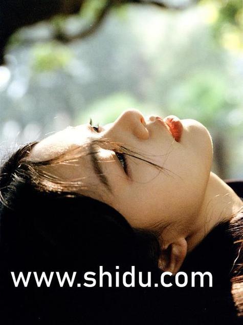 《北方影院天下美人》剧情解析：天下第一美人争夺战背后的权谋与爱恨