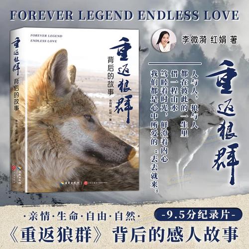 日本精油按摩2：专业舒缓身心，深度放松与精油理疗结合的长尾关键词体验