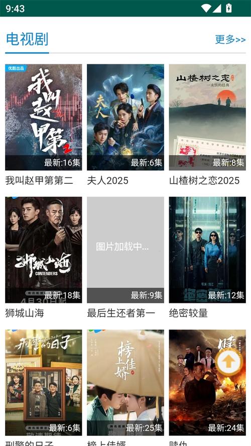 久99久久久精品的相关介绍