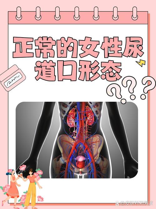 人妻少妇互换的相关介绍